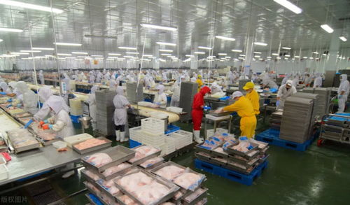 超3000人确诊 泰国最大鸡肉加工厂暴发聚集性感染 暂停输华